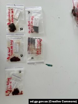 Досліджуватимуть фрагменти мозку та внутрішнього вуха морських ссавців, після цього можна бути зробити висновки щодо причин смерті