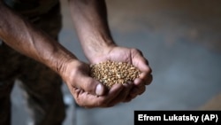 В уряді кажуть, що через односторонню заборону на імпорт української агропродукції з боку Польщі, Словаччини та Угорщини вітчизняні експортери зазнали і продовжують зазнавати значних збитків