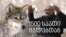 1500 საათი მგლებთან