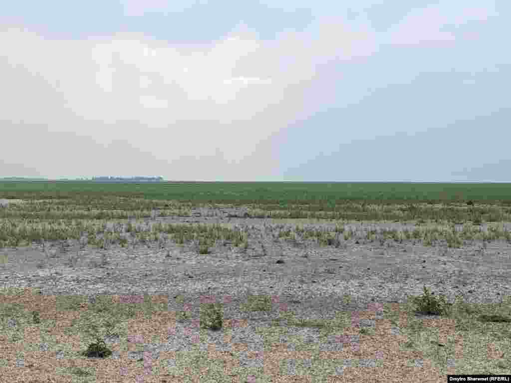 Внаслідок руйнування контрольованої російськими окупаційними військами Каховської ГЕС виникли проблеми зі зрошуванням та питною водою в населених пунктах, розташованих поруч з водосховищем. &nbsp;