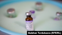 Кызамыкка каршы вакцина. Иллюстрациялык сүрөт.