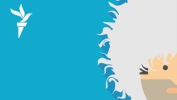 Гибель уроженки Чечни в Армении | #259