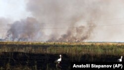 Иллюстративное фото