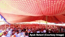 د ټانک امن جرګه وايي، حکومت دې د امن راوستلو لپاره جدي اقدامات وکړي: انځور جون ۱۰، کال ۲۰۲۴