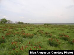 У рідних краях Віри Аннусової