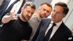 Владимир Зеленский жана Марк Рютте.