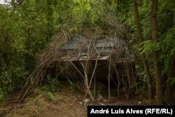Ukrainian military vehicles hidden in a forest in the Zaporizhzhya region.