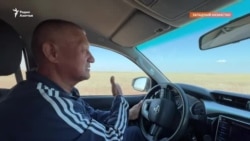 Как бывший судья решил разводить коров и зашёл в тупик
 