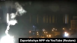«Це виводить уявлення про живий щит на зовсім інший і жахливий рівень»