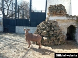 Заповедник «Аскания-Нова», апрель 2022 года