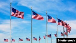 Иллюстративное фото. 