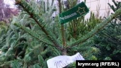 «Датская» пихта на елочном базаре в Керчи, 17 декабря 2021 года