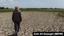 Иллюстративное фото.