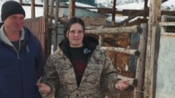 "Малды көбөйтүп, бутубузга турдук". Жети-Өгүздү жердеген Гладченколор