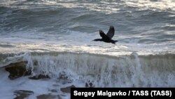 Ілюстраційне фото