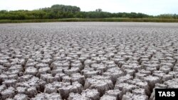 Засуха в Волгоградской области. Иллюстративное фото