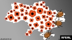 Автор: Євгенія Олійник