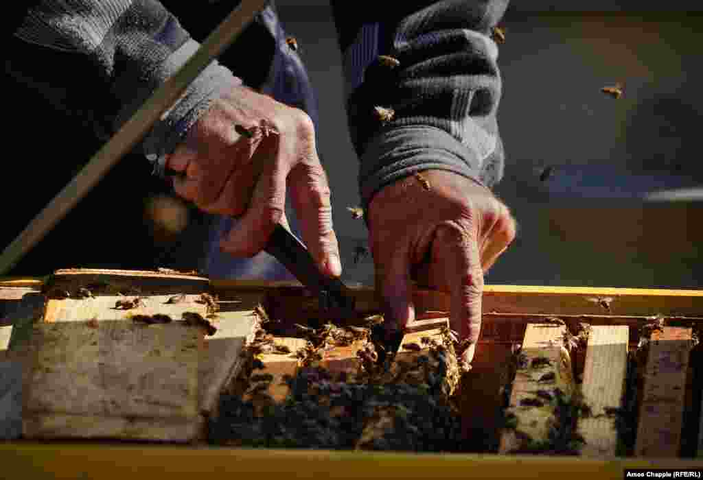 Мало що хвилює Василя, що видно по тому, як він перевіряє свої вулики без рукавичок. Думки про радіацію не займають у нього багато часу: &laquo;Ми тестували ділянку, все чисто. І я тестую те, що їм, і все в порядку&raquo;