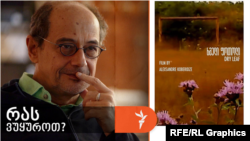 "სანდრო კობერიძის „ხმელი ფოთოლი“, რომელსაც 29 დეკემბერს, “სინედოკის” ინიციატივით, კინოთეატრ “ამირანში” უჩვენებენ, ადრეულ კინოს, კინოპრიმიტივისტების ფილმებს მოგაგონებთ..."