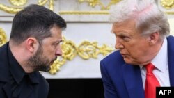 Владимир Зеленский и Дональд Трамп, архивная фотография