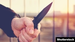 Illýustrasiýa suraty