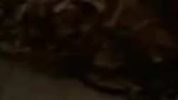 Отправка раненых из в/ч 29760 в Луге на фронт.mp4