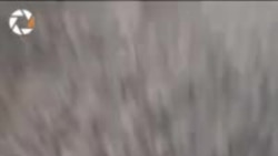 Türkmenabadyň bazarynda 'arzan' günebakar ýagy satuwa çykaryldy