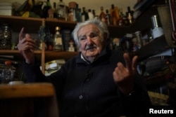 Хосе Мухика у себя дома в пригороде Монтевидео дает интервью агентству Reuters, май 2024 г.