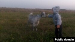 Дочь Олеси Лариной