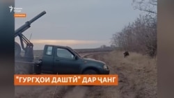 "Гургҳои даштӣ" талаб доранд, ки онҳоро нодида нагиранд