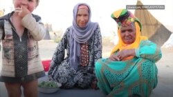 Owganystandaky türkmenler bosgunlyga mejbur bolýar