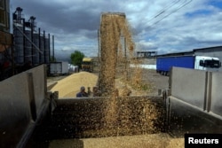 Сельхозпродукция остается одной из важнейших статей украинского экспорта