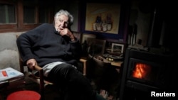 Хосе Мухика у себя дома в пригороде Монтевидео, май 2024 г.