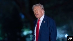 Дональд Трамп ранее высказывал критику в адрес Путина и Зеленского 