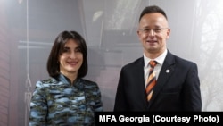 Мака Бочоришвили и Петер Сийярто