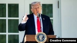 Дональд Трамп