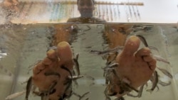 363 - შემხეთილი/ბაგრატული