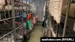 Türkmenistana gaýtarlan raýatlar 2 hepde möhlet bilen hökmany karantin zonasynda saklanarlar.