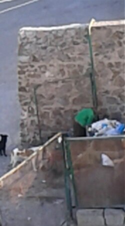 Ашхабад, ноябрь, 2019