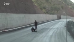 Кто и как замышлял убийство иностранных велотуристов в Таджикистане