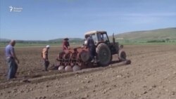 Глава Хатлона "не нашел" 760 га под картофель