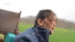 Феминист манасчы Бактыгүл