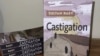 Роман англисче “Castigation“ деген аталышта жарыкка чыкты.