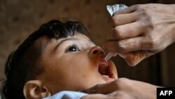 په کراچۍ کې یوه روغتیايي کارکوونکې یو ماشوم ته د ګوزڼ واکسیني څاڅکي ورکوي - پخوانی انځور.