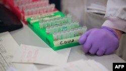 Иллюстративное фото