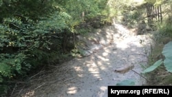 Висохле річище річки Танасу біля села Кирпичне Білогірського району, вересень 2020 року