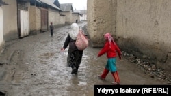 Ош шаарындагы лөлүлөр