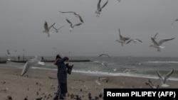 Женщина кормит птиц на пляже Черного моря в Одессе, 4 ноября 2025 года (фото иллюстративное)