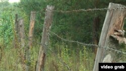 Українсько-білоруська ділянка кордону в Чернігівській області