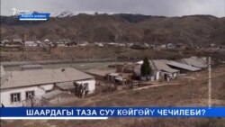 Нарындын ырга айланган көйгөйү 